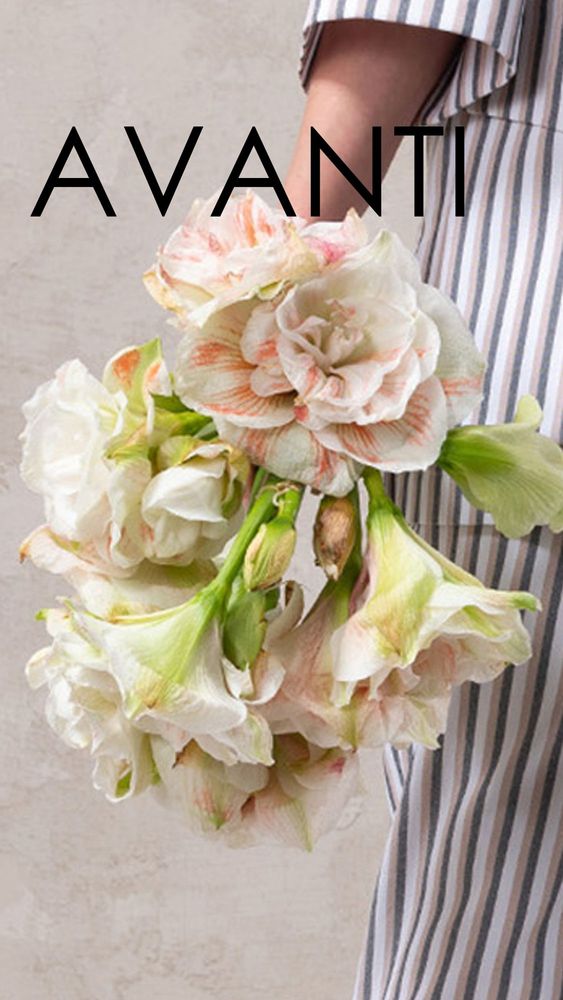 image product number
										1659